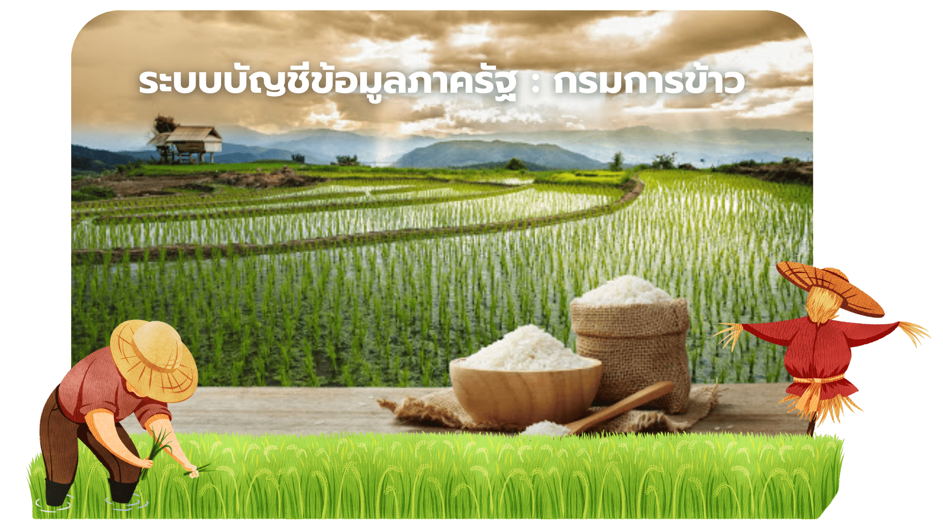 Agency Catalog promote banner